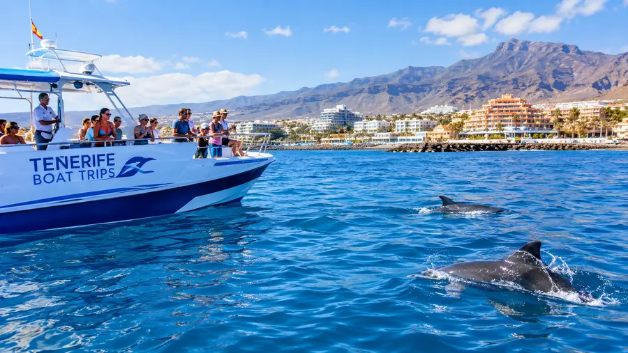 Costa Adeje Boat Trips & Puerto Colón Charters