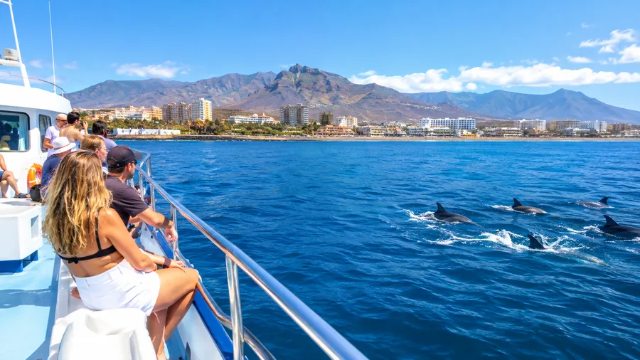 Los Cristianos & Playa de las Américas Boat Trips
