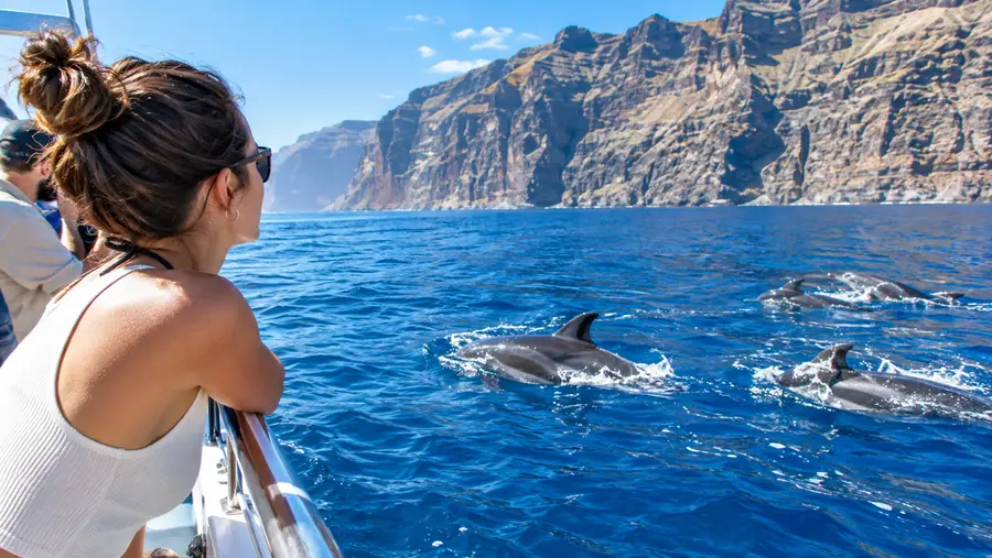 Los Gigantes Boat Trips & Cliff Tours