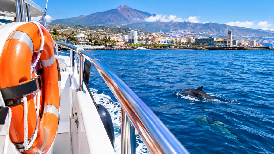 North Tenerife Boat Trips: Puerto de la Cruz & Santa Cruz