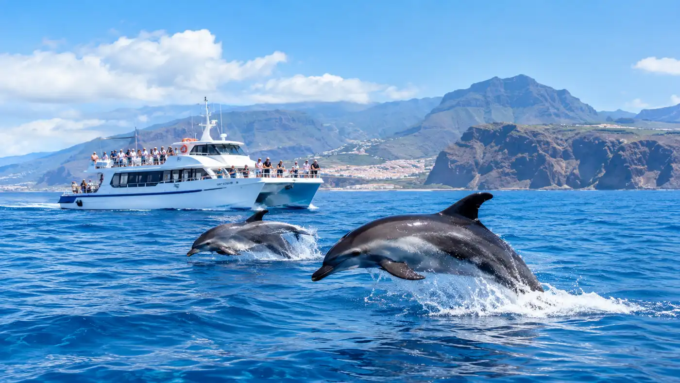 Whale and Dolphin Watching in Tenerife